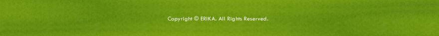 Copyright c ERIKA. All Rights Reserved.
