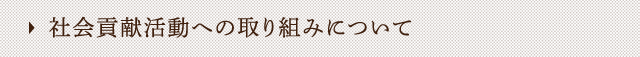 社会貢献活動への取り組みについて